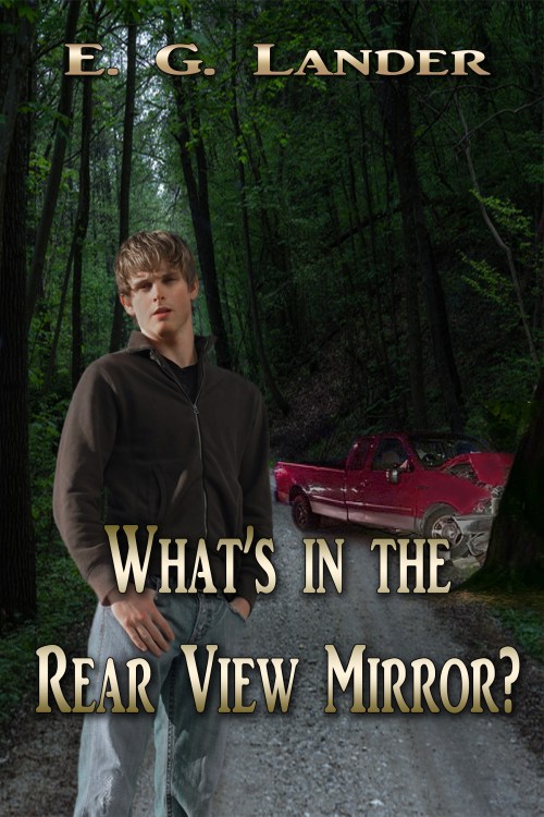 Whats in the Rear View Mirror Cover