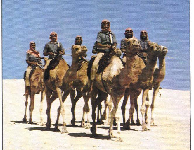 desert patrol
